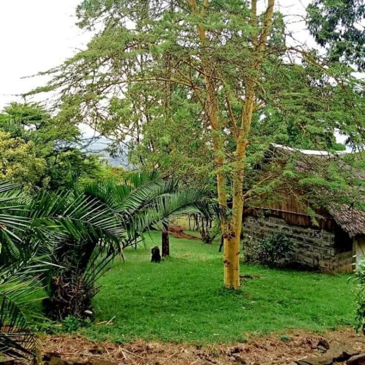 ナクル Maili Saba Campヴィラ エクステリア 写真